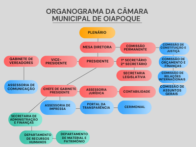 Organograma da Câmara Municipal de Oiapoque