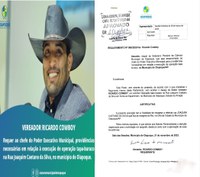 REQUERIMENTO AO PODER EXECUTIVO MUNICIPAL.