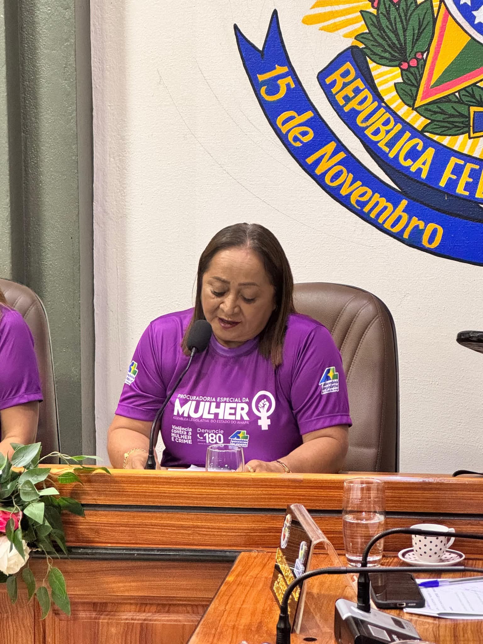 Sessão solene de instalação da procuradoria da mulher